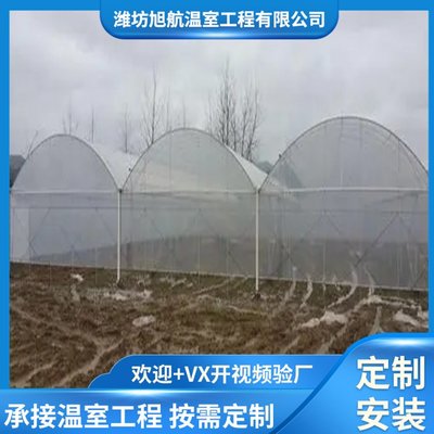 先进草莓pvc温室大棚 工厂专业预算 采光好 施工队随时可建设